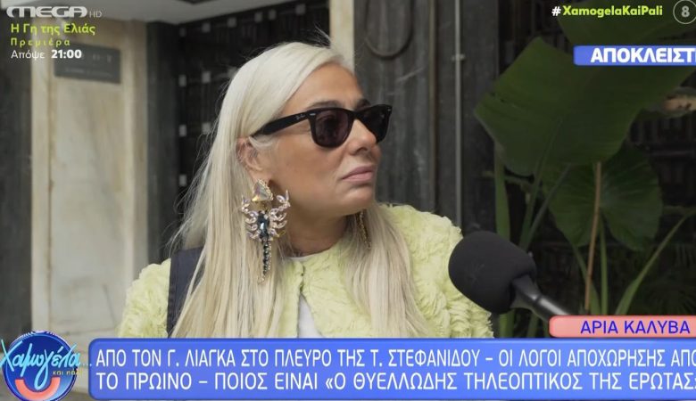 Άρια Καλύβα για «Πρωινό»: Το κάρμα είναι μια ανελέητη σκύλα και πήραν τη θέση που τους αξίζει