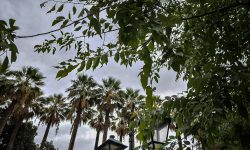 Καιρός: Άστατος με νεφώσεις κατά διαστήματα και κατά τόπους αυξημένες και τοπικές βροχές