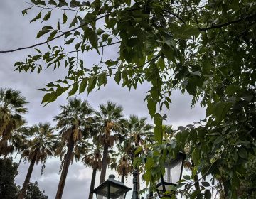 Καιρός: Άστατος με νεφώσεις κατά διαστήματα και κατά τόπους αυξημένες και τοπικές βροχές