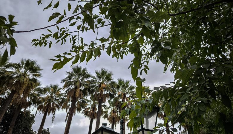 Καιρός: Άστατος με νεφώσεις κατά διαστήματα και κατά τόπους αυξημένες και τοπικές βροχές