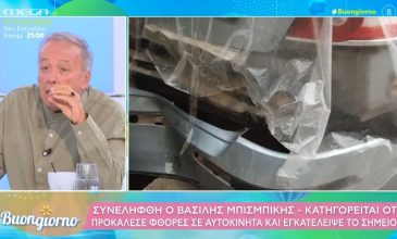 Μικρούτσικος για Μπισμπίκη: «Ο Βασίλης πίνει, είναι ασθενής, κάνει κακό στον εαυτό του και στη Δέσποινα»