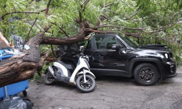 Ένας τραυματίας από πτώση δέντρου στην Αθήνα στην οδό Εμμανουήλ Μπενάκη