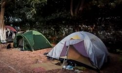 Άνοιξε η μυστική διαθήκη του 68χρονου που έπεσε θύμα δολοφονίας σε κάμπινγκ στη Φοινικούντα – «Για την περίπτωση του αιφνίδιου θανάτου μου»