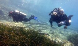 Οι διακοπές εμπειρίας στην Ελλάδα προκαλούν το ενδιαφέρον των Βρετανών