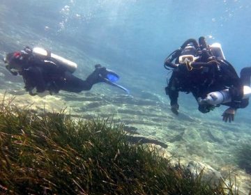 Οι διακοπές εμπειρίας στην Ελλάδα προκαλούν το ενδιαφέρον των Βρετανών