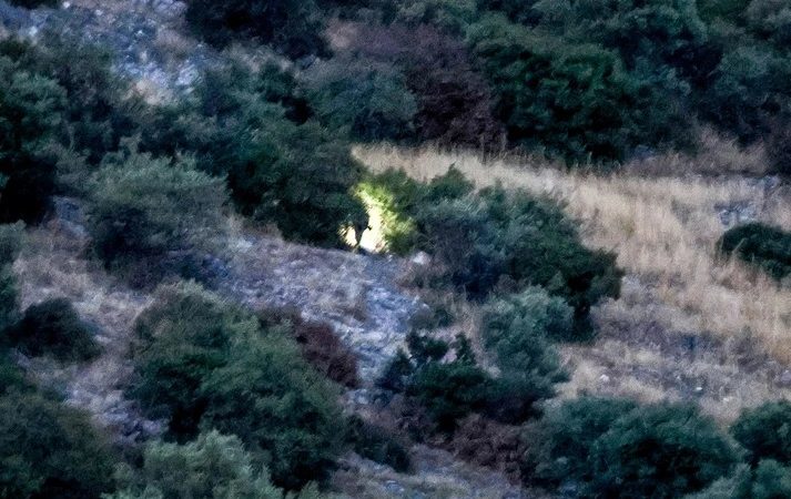 Ελεύθεροι με περιοριστικούς όρους αφέθηκαν τα δύο αδέλφια που έψαχναν λίρες με τον 53χρονο που πέθανε σε σπηλιά στη Λάρισα