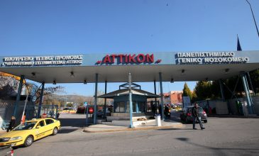 Σοκ από την βάναυση κακοποίηση εγκύου από τον σύζυγό της – «Ήταν αιμόφυρτη, τρυπημένη σε όλο το πρόσωπο με πιρούνι»