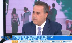 Παπασταύρου: Tις επόμενες ημέρες η μεταβίβαση της διασύνδεσης Ελλάδας-Κύπρου στον ΑΔΜΗΕ