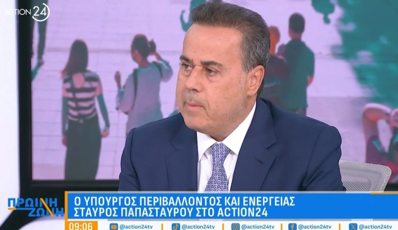 Παπασταύρου: Tις επόμενες ημέρες η μεταβίβαση της διασύνδεσης Ελλάδας-Κύπρου στον ΑΔΜΗΕ