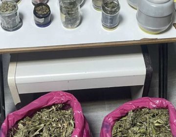 Περίπου 3 κιλά κάνναβης και μικροποσότητες ηρωίνης και κοκαΐνης κατασχέθηκαν στην Πέλλα