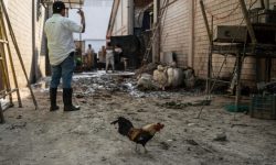 Φονικές πλημμύρες στο Μεξικό: Στους 76 οι νεκροί, άλλοι 27 άνθρωποι αγνοούνται
