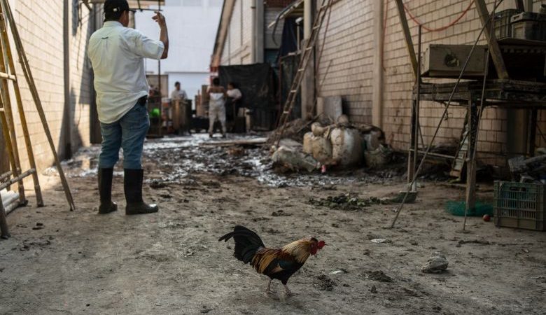 Φονικές πλημμύρες στο Μεξικό: Στους 76 οι νεκροί, άλλοι 27 άνθρωποι αγνοούνται