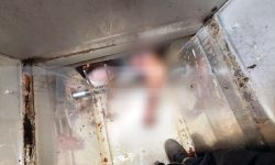 Σοβαρός τραυματισμός εργαζόμενου που εγκλωβίστηκε σε μηχάνημα διαλογής σταφίδας στο Ηράκλειο Κρήτης