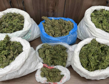 Τέσσερις συλλήψεις στο Ρέθυμνο για ναρκωτικά και δενδρύλλια κάνναβης – Μεταξύ τους και ένας ανήλικος