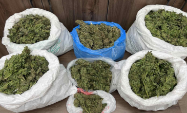 Τέσσερις συλλήψεις στο Ρέθυμνο για ναρκωτικά και δενδρύλλια κάνναβης – Μεταξύ τους και ένας ανήλικος