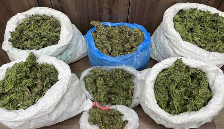 Τέσσερις συλλήψεις στο Ρέθυμνο για ναρκωτικά και δενδρύλλια κάνναβης – Μεταξύ τους και ένας ανήλικος