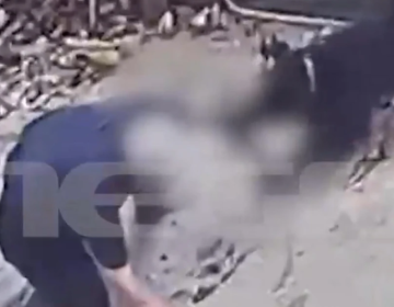 Ανατριχιαστικό βίντεο με το ροτβάιλερ να κατασπαράζει τον ιδιοκτήτη του στη Καλαμάτα