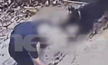 Ανατριχιαστικό βίντεο με το ροτβάιλερ να κατασπαράζει τον ιδιοκτήτη του στη Καλαμάτα