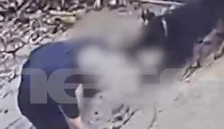 Ανατριχιαστικό βίντεο με το ροτβάιλερ να κατασπαράζει τον ιδιοκτήτη του στη Καλαμάτα