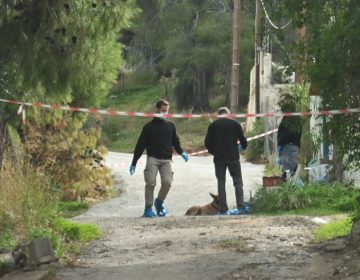 Εξιχνιάστηκε η δολοφονία της 75χρονης στη Σαλαμίνα: Ομολόγησε η νύφη της – Βίντεο δείχνει την 46χρονη να απομακρύνεται από το σπίτι του θύματος