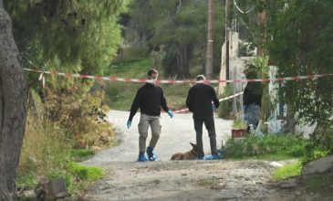 Εξιχνιάστηκε η δολοφονία της 75χρονης στη Σαλαμίνα: Ομολόγησε η νύφη της – Βίντεο δείχνει την 46χρονη να απομακρύνεται από το σπίτι του θύματος