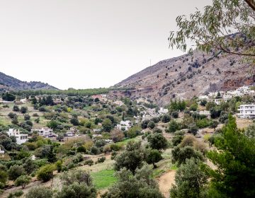 Μακελειό στα Βορίζια: Σε πλήρη εξέλιξη οι αστυνομικές έρευνες σε οικίες και στάβλους – Εξετάζονται άτομα και ελέγχονται οχήματα