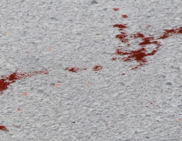 Επτά άτομα συνελήφθησαν για την θανατηφόρα οπαδική συμπλοκή στη Χαλκίδα