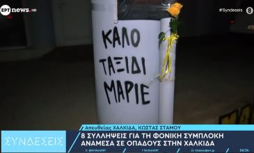 Η μοιραία συνάντηση των οπαδών στη Χαλκίδα που έφερε τον τραγικό θάνατο του 20χρονου Μάριου – Οκτώ συλλήψεις