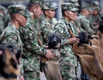 Κολομβία: Συνελήφθησαν εννέα στρατιωτικοί που κατηγορούνται πως βασάνισαν και σκότωσαν αγρότη