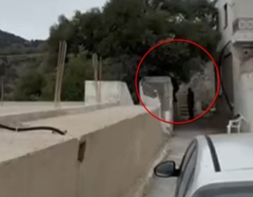 Φονική βεντέτα στα Βορίζια: Το βίντεο-ντοκουμέντο με τους πυροβολισμούς από καλάσνικοφ – Τι ισχυρίζονται τα τρία αδέρφια