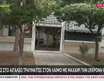 Περίεργη υπόθεση με 29χρονη που μαχαιρώθηκε στο διαμέρισμα της στο Αιγάλεω – Τι είδαν οι αστυνομικοί όταν έφτασαν