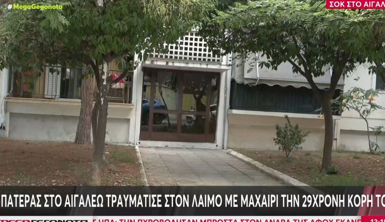 Περίεργη υπόθεση με 29χρονη που μαχαιρώθηκε στο διαμέρισμα της στο Αιγάλεω – Τι είδαν οι αστυνομικοί όταν έφτασαν