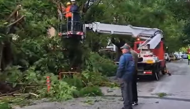 Ισχυροί άνεμοι προκάλεσαν πτώσεις δέντρων και ζημιές σε αυτοκίνητα στην Πάτρα