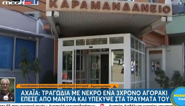 Ανείπωτη θλίψη για τον θάνατο του 3χρονου στην Αχαΐα – Το παιδί έπεσε από τη μάντρα αγκαλιά με τον 25χρονο θείο του
