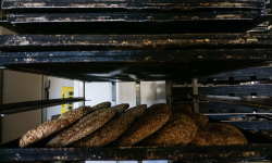 Πως εγκλωβίστηκε θανάσιμα η 49χρονη σε μηχάνημα φούρνου στο Δάμασι Λάρισας – Τι έδειξε η ιατροδικαστική έκθεση