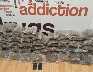 Συνελήφθησαν στο αεροδρόμιο «Ελευθέριος Βενιζέλος» δύο μέλη διεθνούς σπείρας με 44 κιλά ακατέργαστης κάνναβης