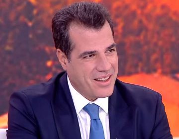 Πλεύρης: «Η οπλοκατοχή μπορεί να υπάρχει υπό αυστηρούς κανόνες και μόνο για το σπίτι»
