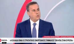 Παπασταύρου: Για κάποιους ήμασταν ο «δεδομένος» σύμμαχος, αλλά εξελιχθήκαμε σε σταθερό, αξιόπιστο και, τελικά, αποτελεσματικό σύμμαχο των ΗΠΑ