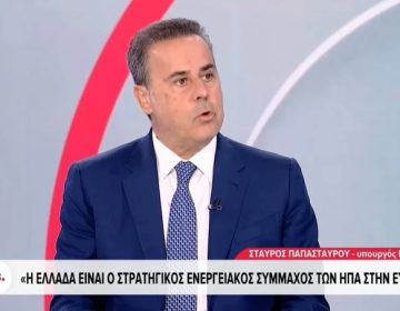 Παπασταύρου: Για κάποιους ήμασταν ο «δεδομένος» σύμμαχος, αλλά εξελιχθήκαμε σε σταθερό, αξιόπιστο και, τελικά, αποτελεσματικό σύμμαχο των ΗΠΑ