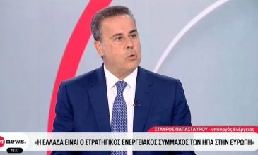 Παπασταύρου: Για κάποιους ήμασταν ο «δεδομένος» σύμμαχος, αλλά εξελιχθήκαμε σε σταθερό, αξιόπιστο και, τελικά, αποτελεσματικό σύμμαχο των ΗΠΑ