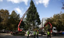Η Αθήνα και η Θεσσαλονίκη βάζουν τα γιορτινά τους – Στήθηκαν τα χριστουγεννιάτικα δέντρα σε Σύνταγμα και πλατεία Αριστοτέλους