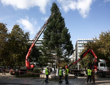 Η Αθήνα και η Θεσσαλονίκη βάζουν τα γιορτινά τους – Στήθηκαν τα χριστουγεννιάτικα δέντρα σε Σύνταγμα και πλατεία Αριστοτέλους