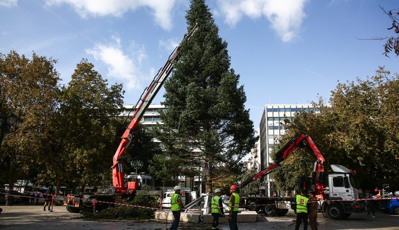 Η Αθήνα και η Θεσσαλονίκη βάζουν τα γιορτινά τους – Στήθηκαν τα χριστουγεννιάτικα δέντρα σε Σύνταγμα και πλατεία Αριστοτέλους