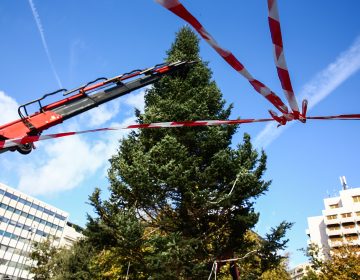 Η Αθήνα ανάβει αύριο το χριστουγεννιάτικο δέντρο της