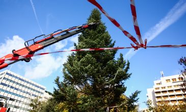 Η Αθήνα ανάβει αύριο το χριστουγεννιάτικο δέντρο της