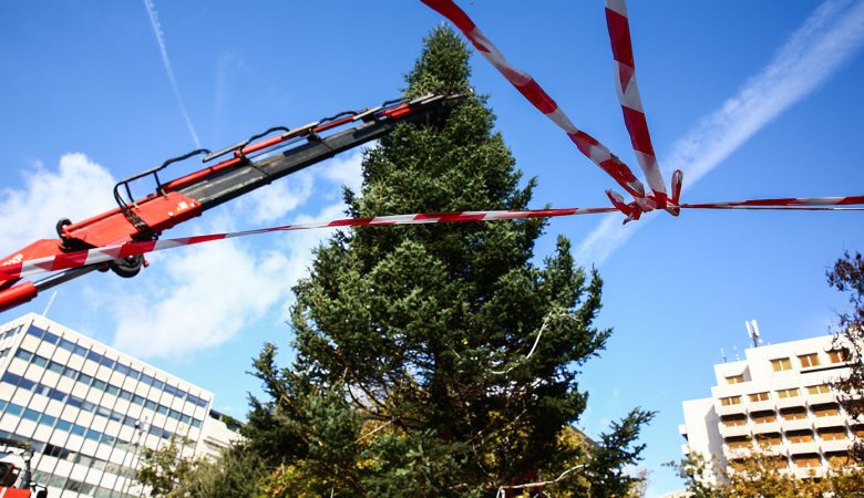 Η Αθήνα ανάβει αύριο το χριστουγεννιάτικο δέντρο της