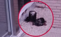 Οι «Πυρήνες Άμεσης Δράσης» ανέλαβαν την εμπρηστική επίθεση στα γραφεία του σάιτ της «Ομάδας Αλήθειας»