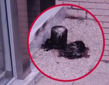 Οι «Πυρήνες Άμεσης Δράσης» ανέλαβαν την εμπρηστική επίθεση στα γραφεία του σάιτ της «Ομάδας Αλήθειας»