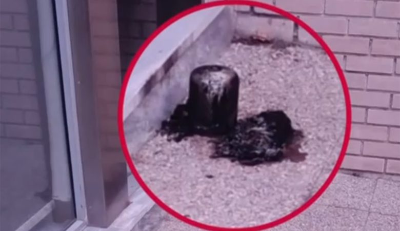 Οι «Πυρήνες Άμεσης Δράσης» ανέλαβαν την εμπρηστική επίθεση στα γραφεία του σάιτ της «Ομάδας Αλήθειας»