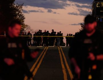 Οι ΗΠΑ θα επανεξετάσουν όλες τις «πράσινες κάρτες» που έχουν χορηγηθεί σε υπηκόους κρατών που τους προκαλούν «ανησυχία»